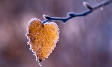 ��֪���ٶ��ƹ㽵�»����վ�Ż�����ʲô��